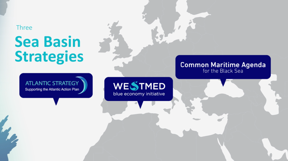 Sea Basins Strategies and the Assistance Mechanism