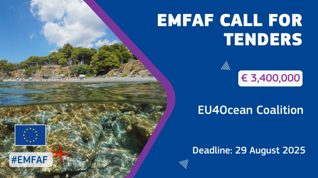 Call for tenders