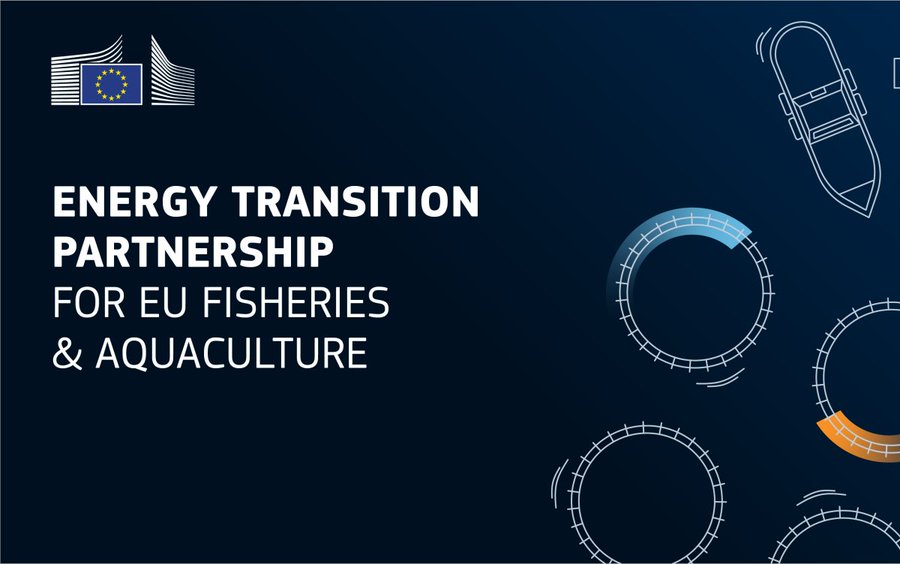 Help Shape the Future of Sustainable Fishing and Aquaculture | Take the EU Shipyard Capacity Survey
